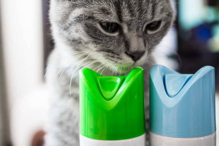 Best Air Fresheners For Cats